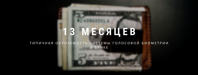 Типичная окупаемость системы голосовой биометрии через 13 месяцев