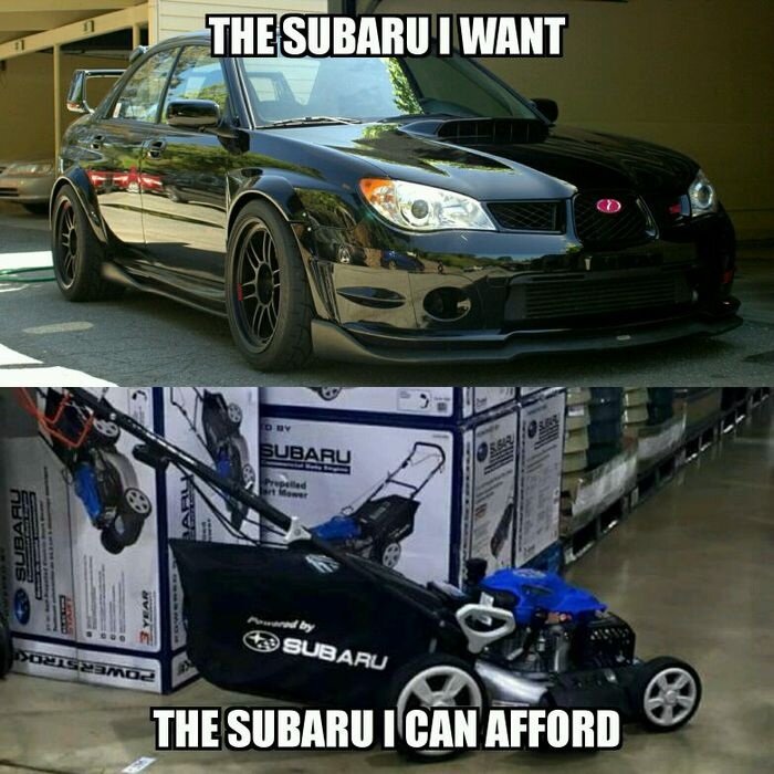 Перевод надписи - "Какую subaru я хочу и какую могу себе позволить"