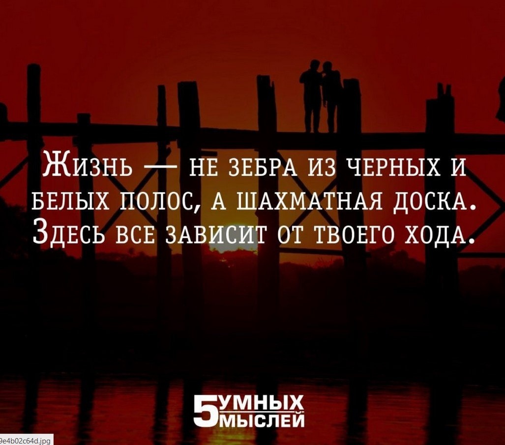 Очень понравилась цитата. Правда жизни.