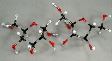 Молекулы αd-глюкозы и фруктового сахара