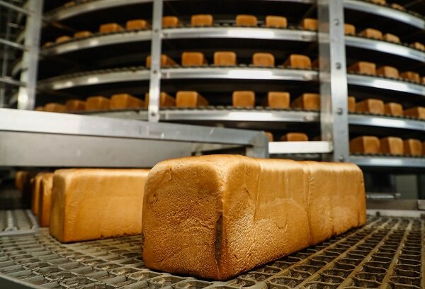 Фото ТАСС\Новодережкин Антон