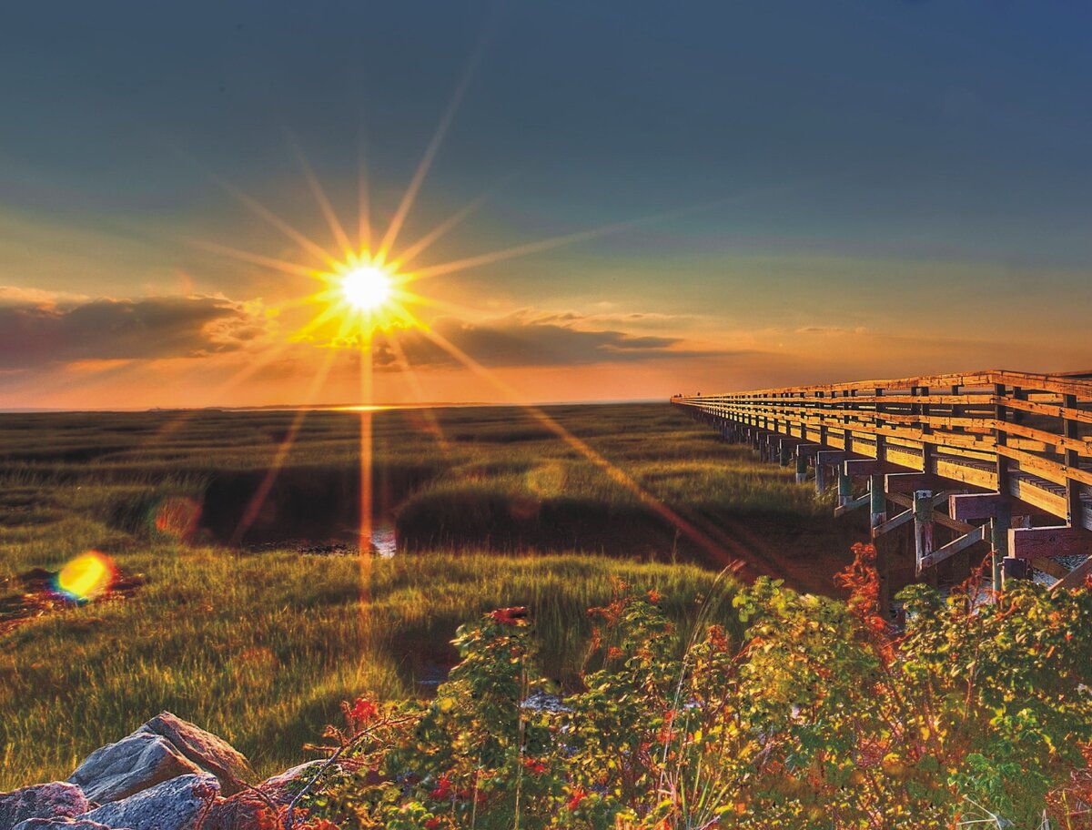 Яндекс картинки