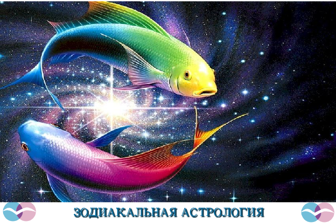 Фото из интернета.