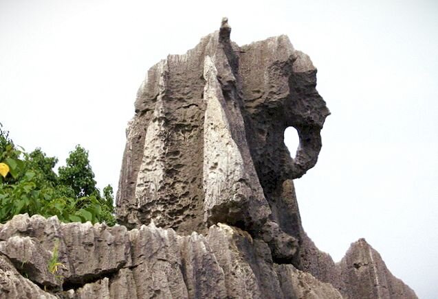 Каменный лес Шилинь