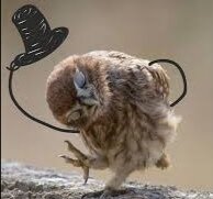 Со всем уважением к Тебе и со всем удовольствием к происходящему. Ибо, что бы не произошло, Солнце завтра встанет над нами также... 