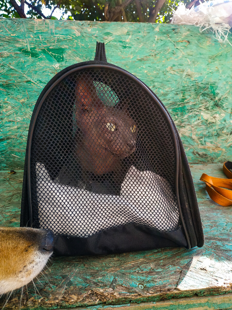 Фото:Шаталов Андрей