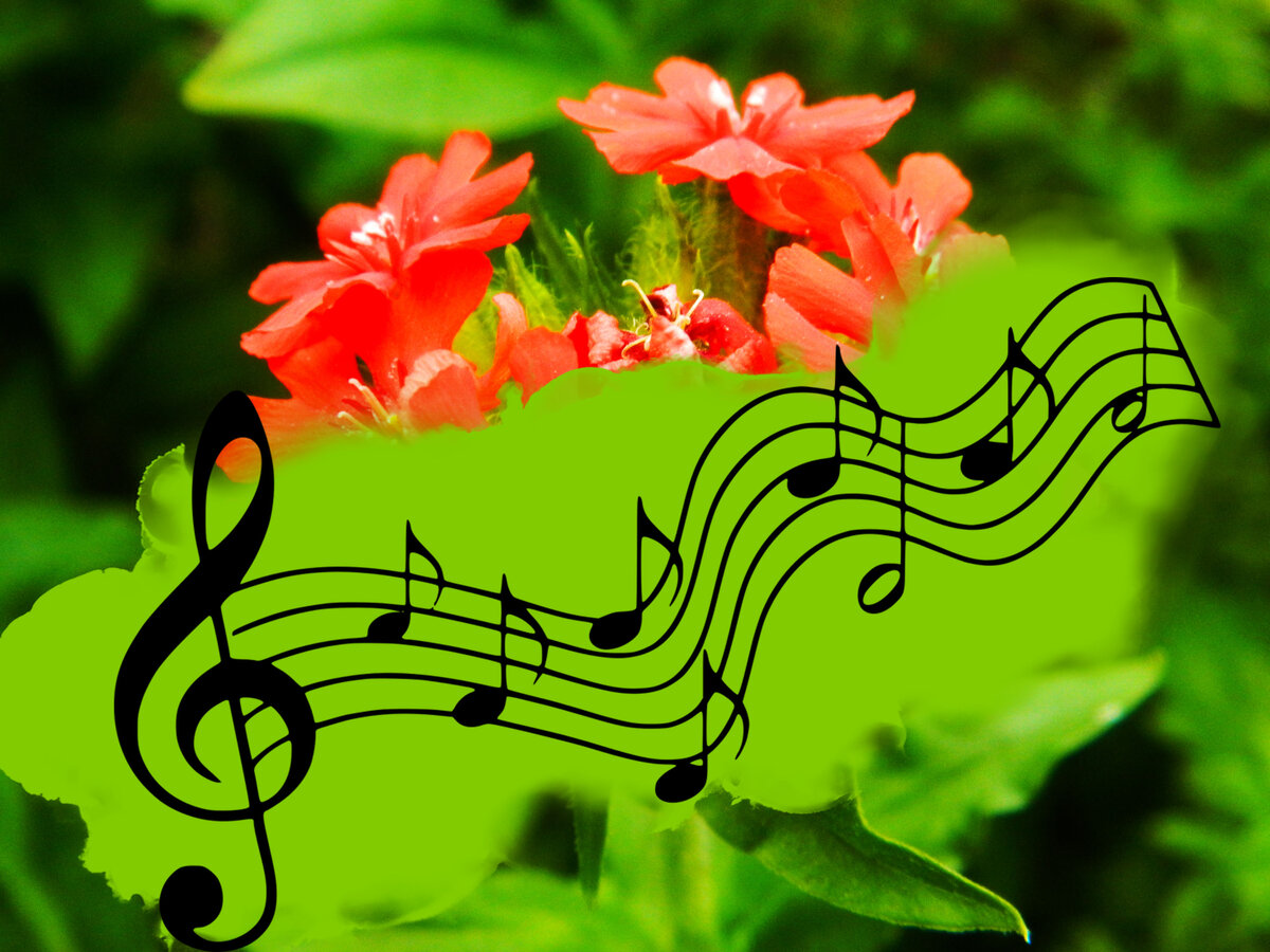 фото автора канала