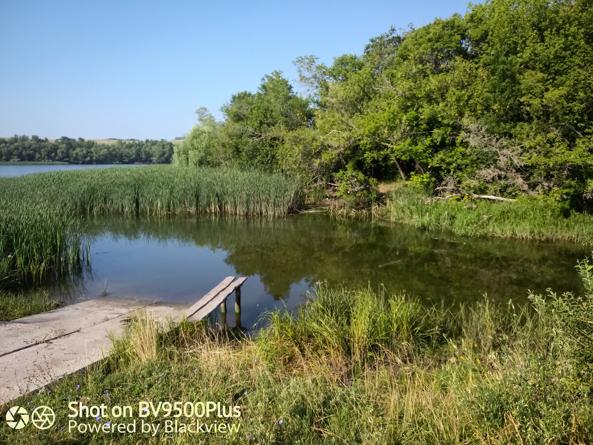 А когда-то тут был песчанный пляж, место отдыха сельчан. И камыша не было. И деревьев на "том" берегу.