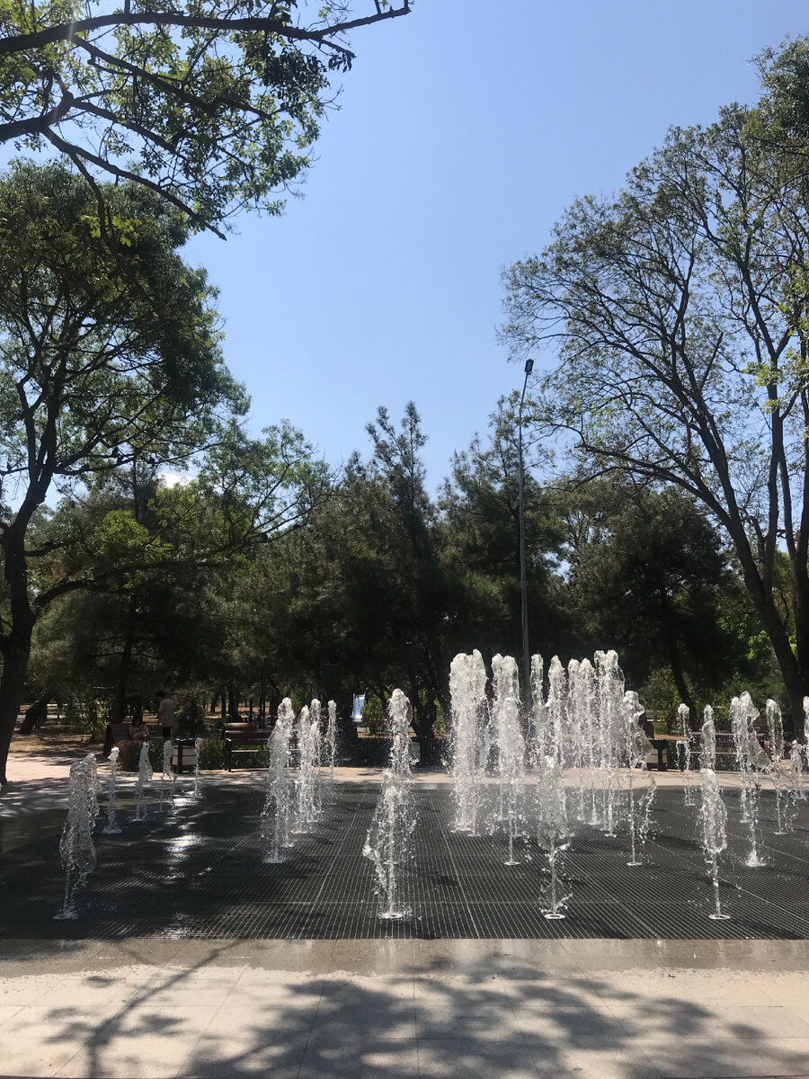 Сижу в парке, у фонтана  и пишу о них. 