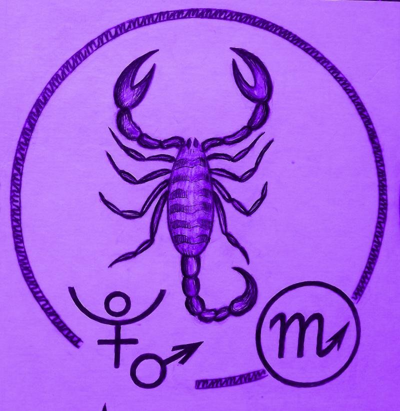 Скорпион с 21 по 27 августа. Скорпион. Знак зодиака Скорпион. Значок скорпиона. Скорпион символ.