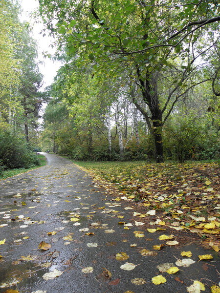 Фото: Яндекс. Картинки