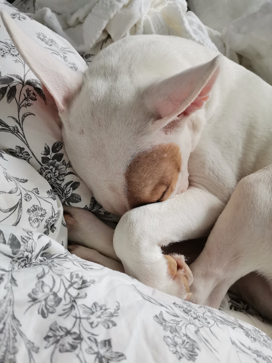 фото из личного архива