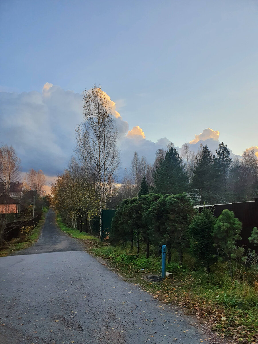 Просто красивый пейзаж снятый моей женой.