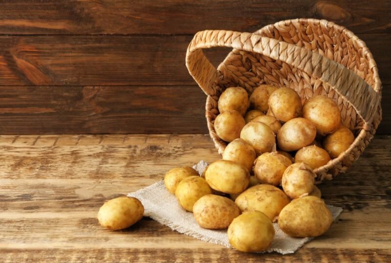 3 лучших сорта картофеля раннего созревания голландской селекции. Почему ялюблю голландский картофель
