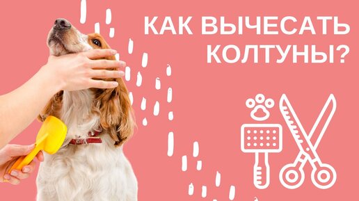 Как вычесать колтуны?