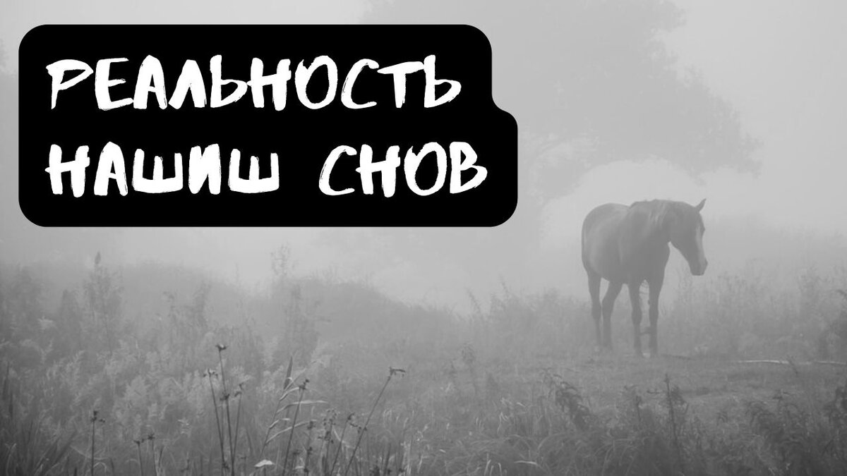 Реальность наших снов | Страшилки от Чеширки | Дзен