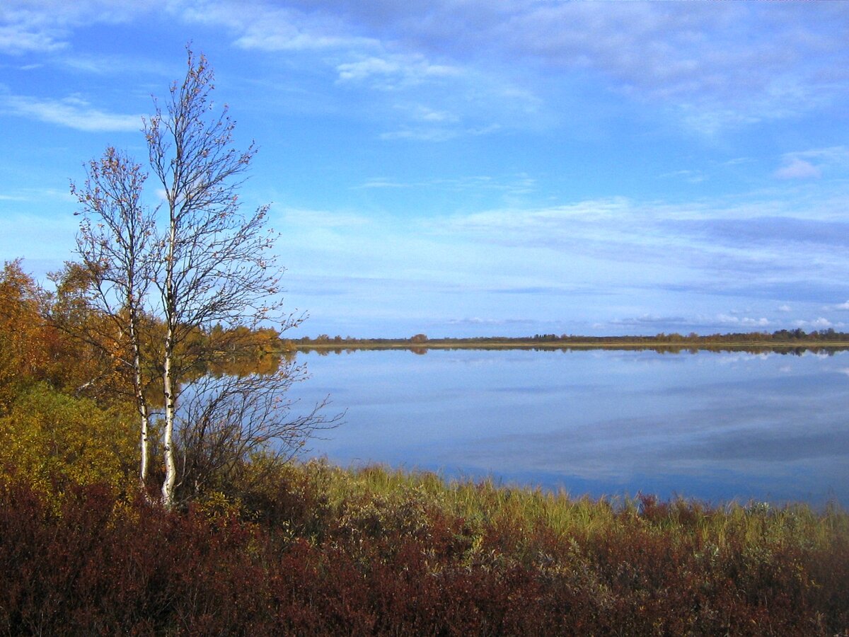 Фото из личного архива