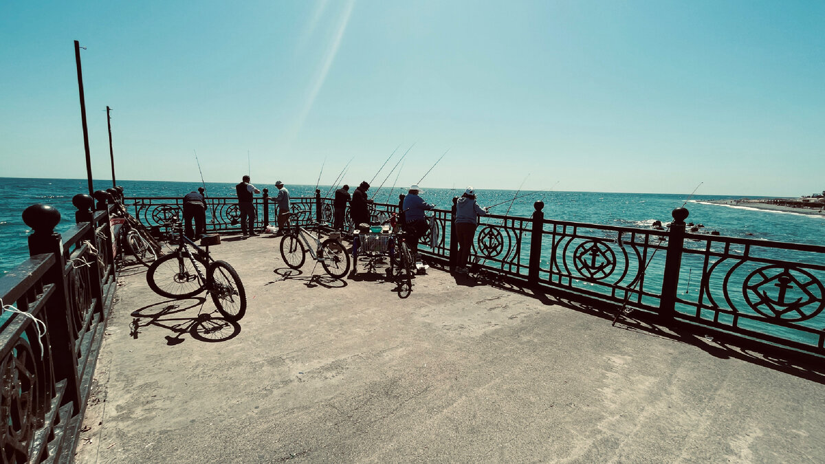 Сочи и лучший транспорт для этого города! Велосипед 🚴‍♂️ | Сочи на  велосипеде! | Дзен