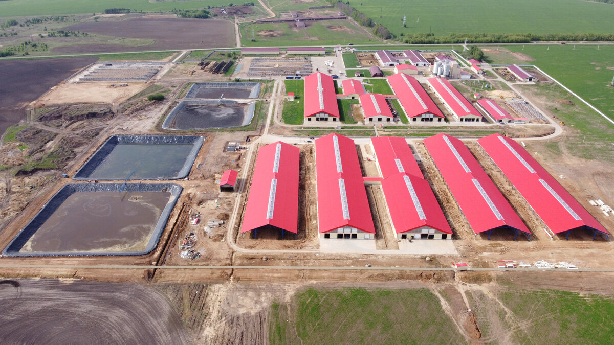 Ферма «ЧебоМилк» комплексно оснащено оборудованием New farm