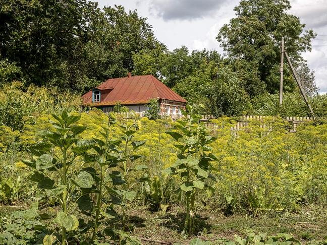 Зыбино харьковская область. Село Зыбино при России. Зыбино Белгородская область фото. Село Зыбино Белгородской области видео. Зыбино Тульская область Смидовичи.