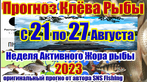 Прогноз клева в санкт петербурге