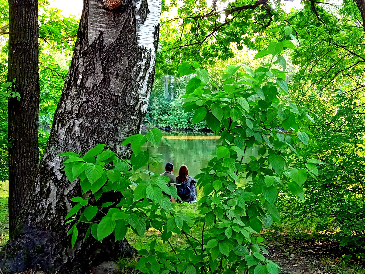 Фото автора