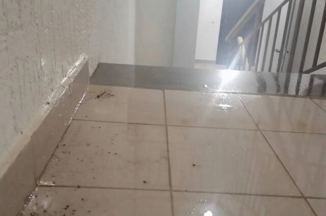    Из-за протекающей крыши вода, однако, попадает даже в подъезд. Фото: Из личного архивa/ Зумрад Шабанов