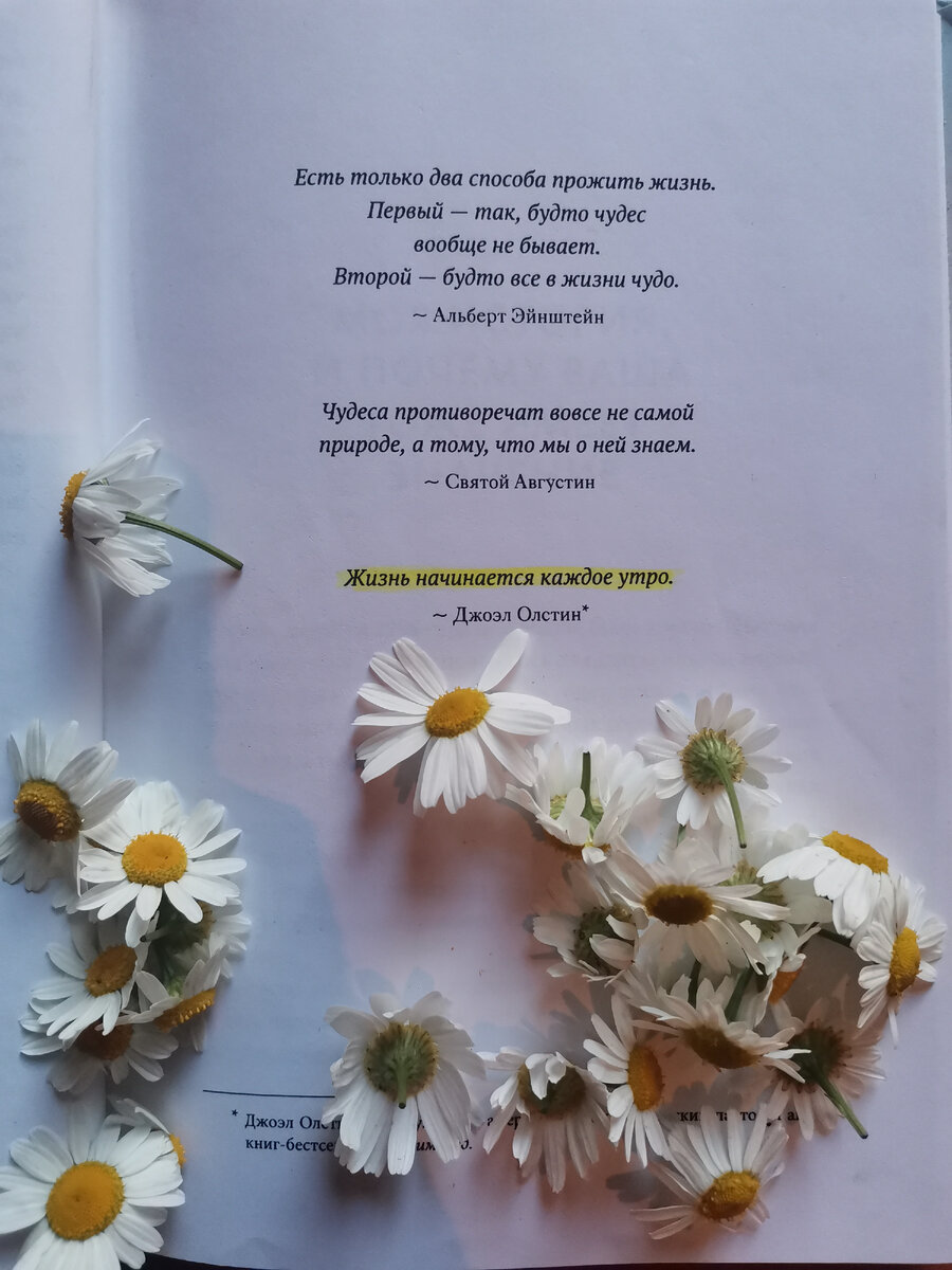 Магия утра .Хэла Элрода