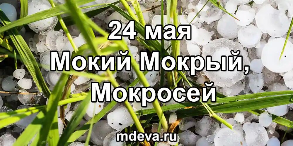 24 мая по народному календарю Мокий Мокрый, Мокросей