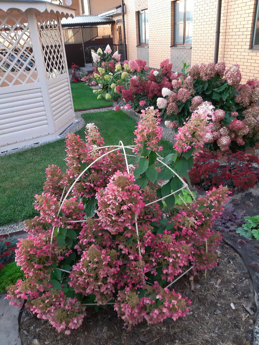 Сентябрь 2023