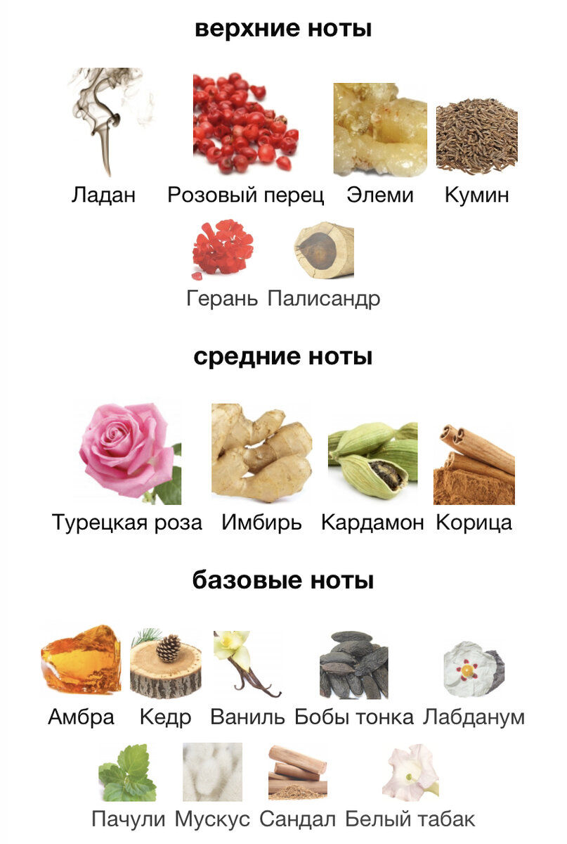 Nom est. Построение предложения во французском языке. Частные уроки (2008) eleve libre. Номен карр. Теренс хилл меня зовут никто.