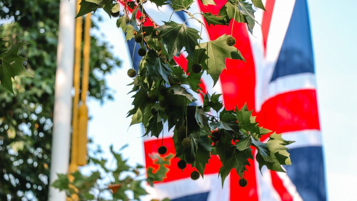    Фото: unsplash.com. Август Макаров