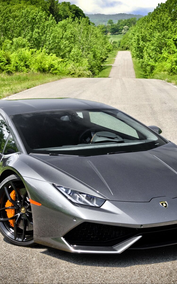 В ролике, который набрал уже почти 2 млн просмотров, он поехал в Краснодар, чтобы впервые сесть за руль 1000-сильного спорткара и заодно попытаться ответить на вопрос, как купить Lamborghini Huracan, если деньги есть только на "Ладу" с вариатором.

Спойлер для тех, у кого нет 20 минут на просмотр: устроившая Диму по цене и "свежести" машина нашлась в Краснодаре с ценником 12,5 млн руб. При этом бывшие хозяева неплохо вложились в авто: за сам Huracan 2017 года выпуска заплатили 16 млн руб., а за тюнинг – еще семь. Накатать заднемоторная Lamborghini с мощнейшим турбированным V10 под капотом успела всего 6 тыс. км.


Серьезных проблем машина тоже не нажила: гидросистема полного привода начала "ругаться" из-за проверки на стенде, колеблются показатели давления в низком контуре, что решаемо настройкой регулятора, и села батарейка второго ключа, которую нужно просто зарядить. Словом, надо брать – конечно, если есть деньги.

Но к концу видео оказывается, что их-то блогеру слегка не хватает. Теперь он просит совета у подписчиков, стоит ли ему в 28 лет вкладывать все сбережения и влезать в долги ради давней мечты или же вложиться во что-то, что будет расти в цене – например, в столичную недвижимость. В комментариях под видео не утихает активность, и большинство на вопрос "ламба или хата?" все же отвечают: "хата, Диман".