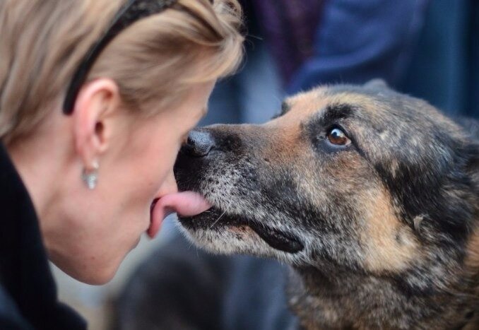 Источник фотографии: xoroshiy