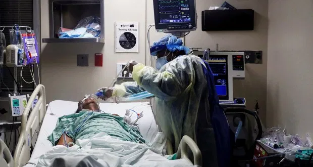 фото из открытого источника