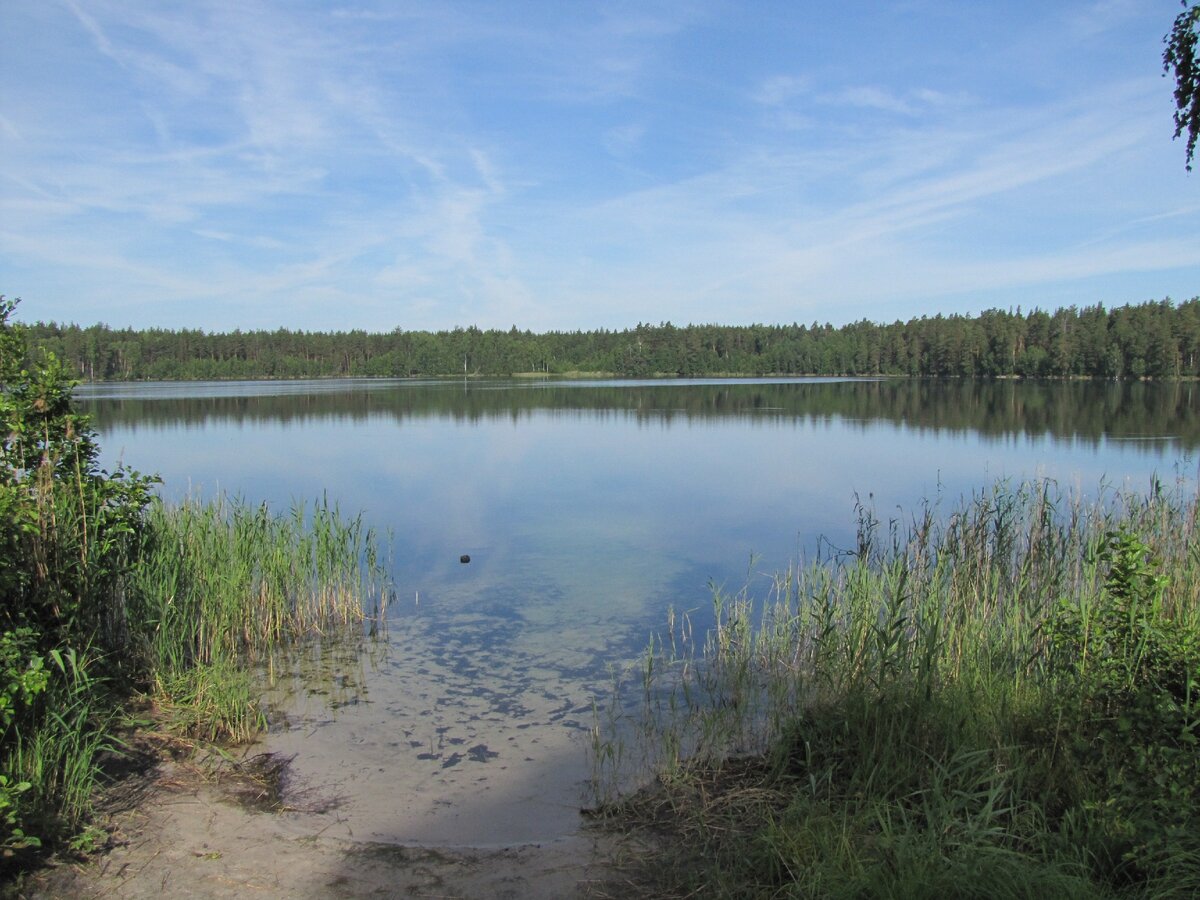 дедово озеро нижегородская область