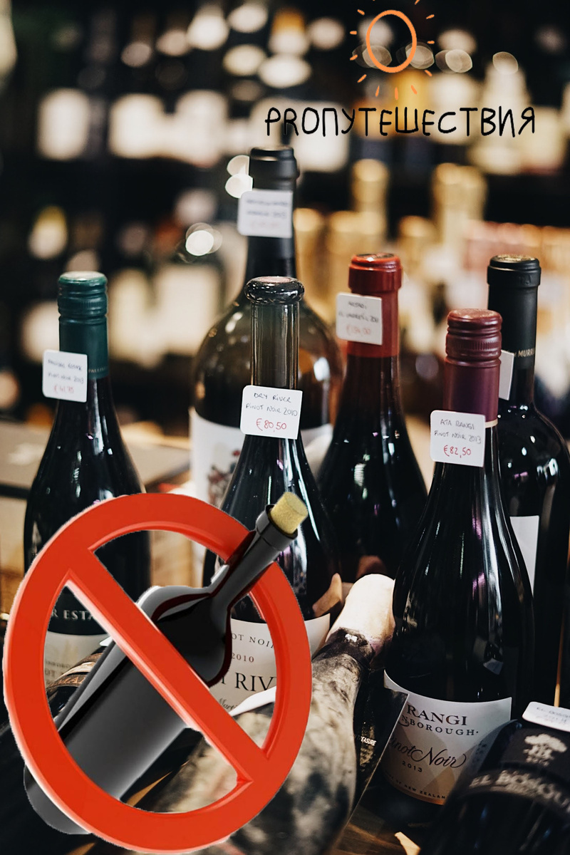 Подпишитесь на канал, чтобы не пропустить всё самое интересное!