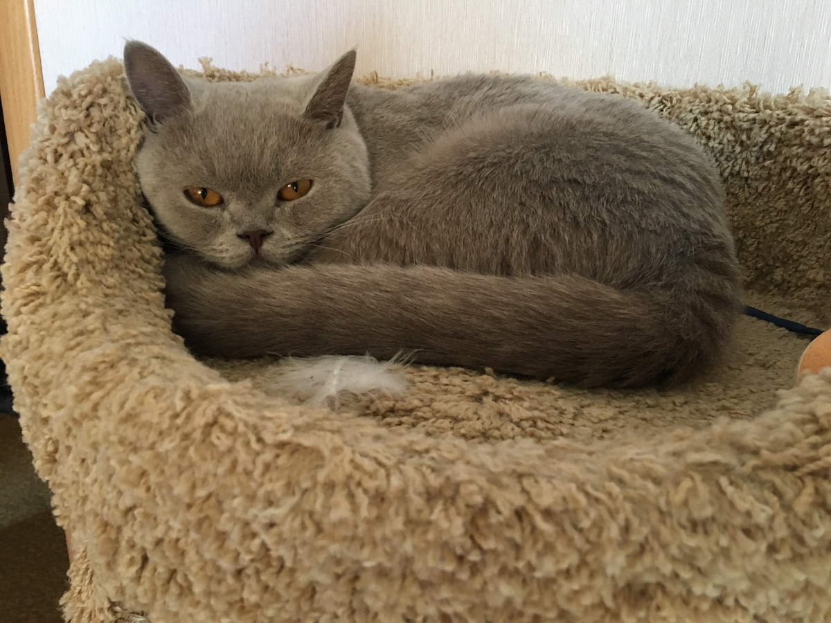 Фото из личного архива