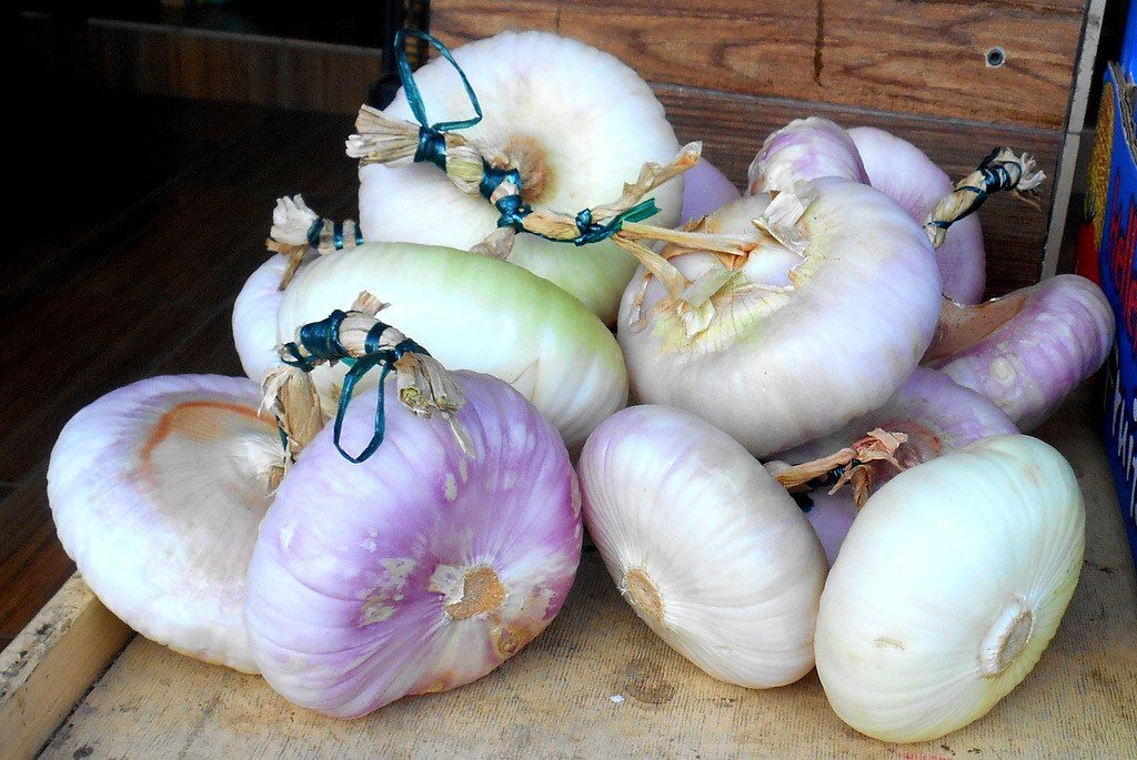 Закинфский водяной лук - кладезь витаминов и секрет долголетия греков!