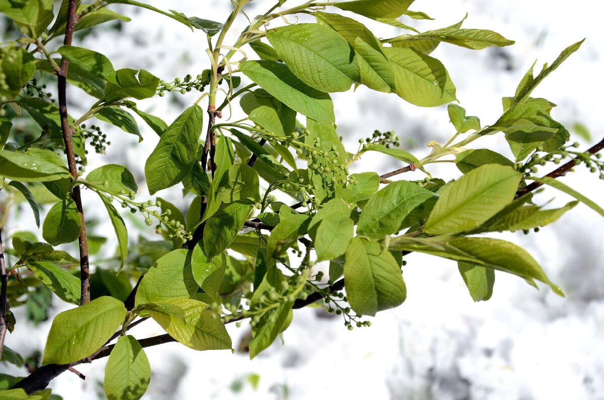 Фото из личного архива автора