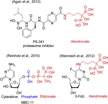  4. Выбраны примеры конъюгатов БП-цитотоксического препарата.