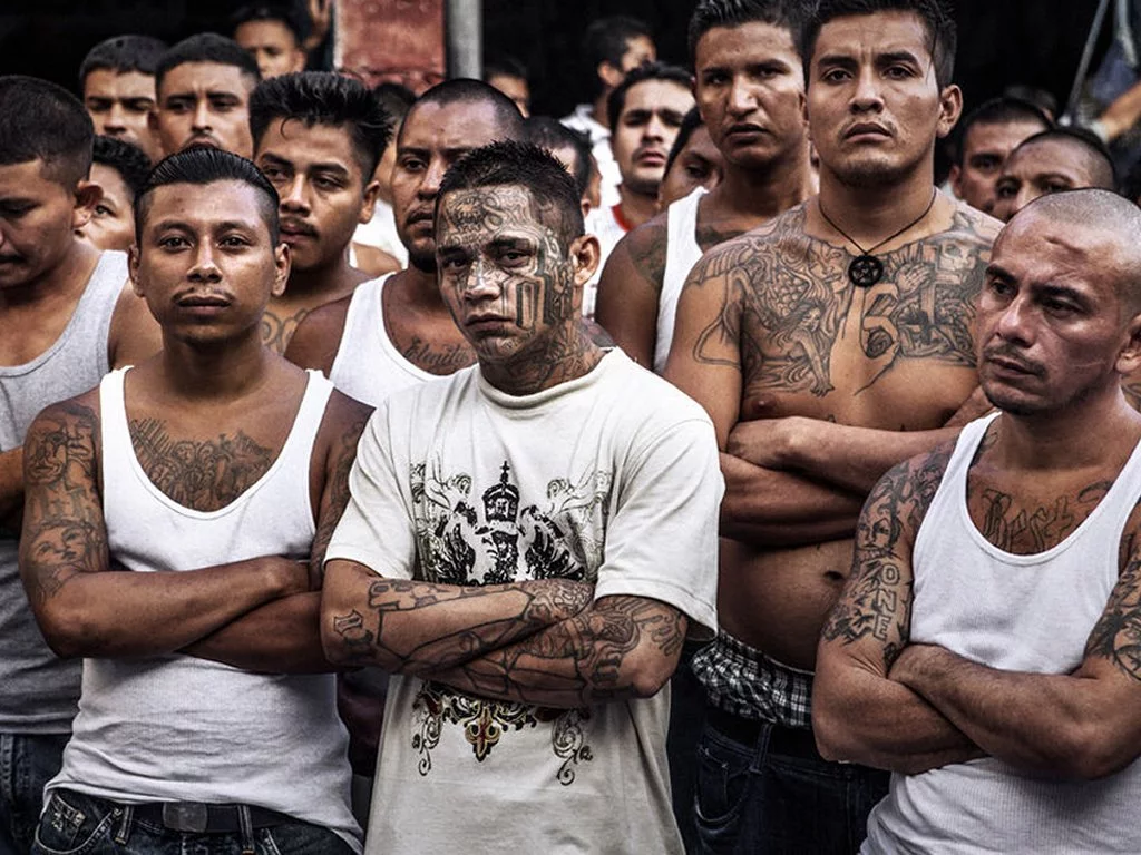 MS-13