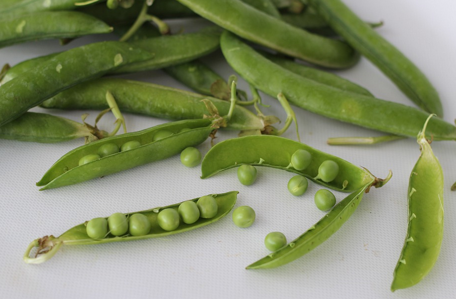 Источник фото https://pixabay.com