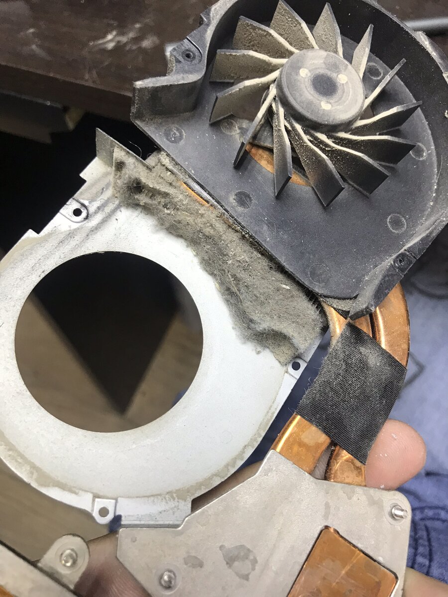 «Его чистили месяц назад»