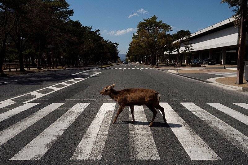 Фото: Jae C. Hong/AP Photo