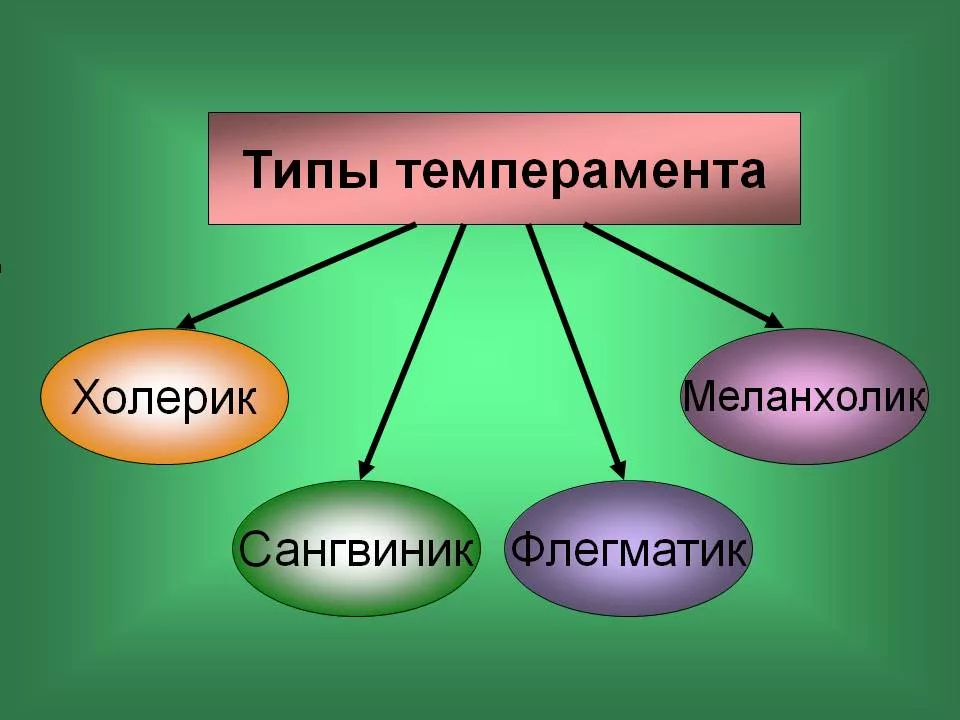 Личность типа а картинки