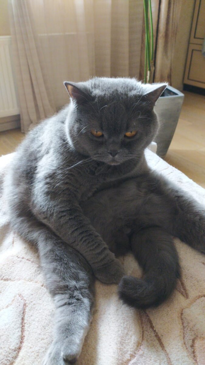 Мистер "$" Бакс.