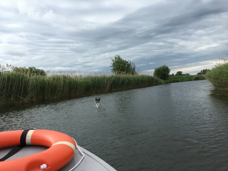 Места в районе Костиной ямы . 
