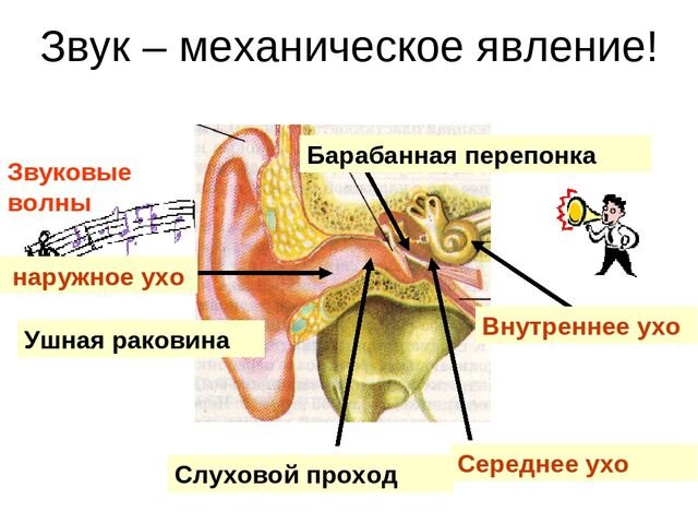 Содержание