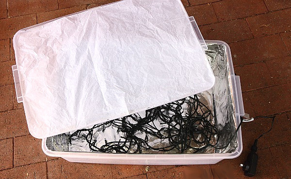 Источник: Картинка взята из общего пользования. 